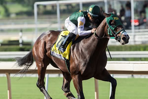 Bolt d’Oro